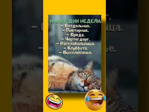 Видео: Новый день #смех  #смехдослез #прикол