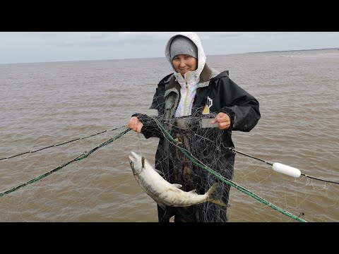 Видео: Рыбалка на песчаной косе.Я стреляю .