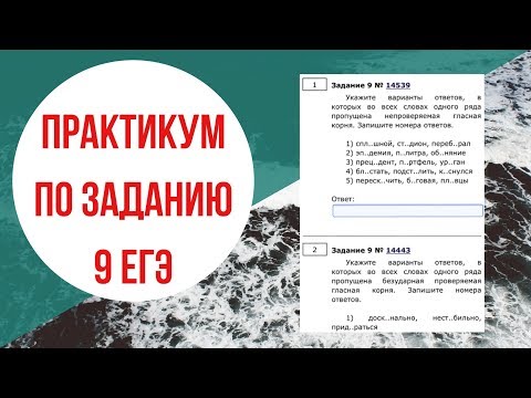 Видео: НОВОЕ ЗАДАНИЕ 9 ЕГЭ - ПРАКТИКУМ [IrishU]