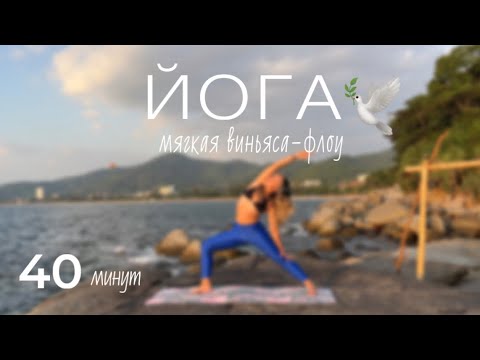 Видео: ЙОГА | 🌶️ 40 минут на всё тело. Мягкая виньяса флоу йога для начинающих