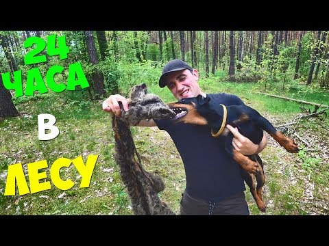 Видео: 24 Часа в лесу! День рождения Бобби! Охота на кролика! Жареный кролик!