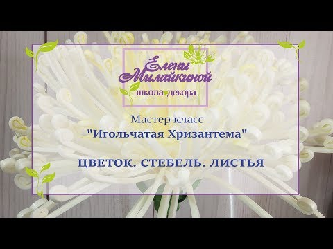 Видео: Игольчатая Хризантема из изолона-Мастер Класс Елены Милайкиной