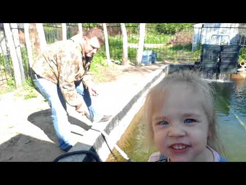Видео: Искусственный  пруд. Пылесосим дно пруда.