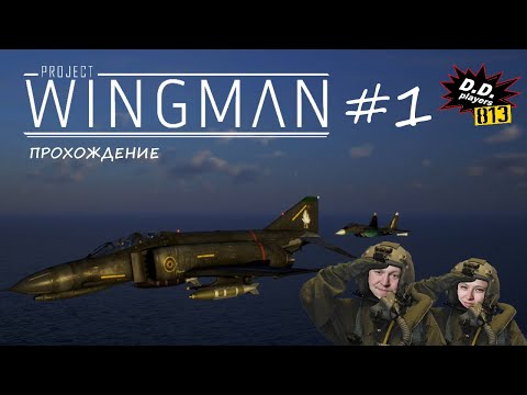 Видео: Прохождение Project WINGMAN (1 серия)