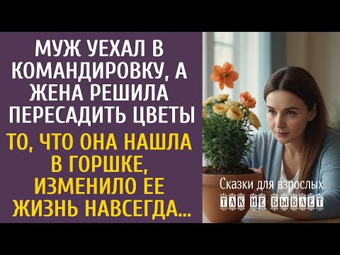Видео: Муж уехал в командировку, а жена решила пересадить цветы… То, что она нашла в горшке, изменило жизнь
