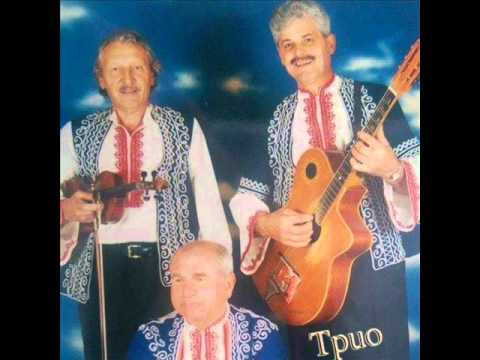 Видео: Трио Вароша - Носталгия