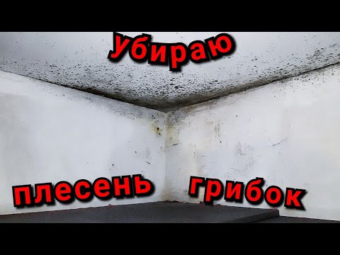 Видео: Дешевое средство от плесени на стенах. Медный купорос и белизна. Народный и бюджетный метод.
