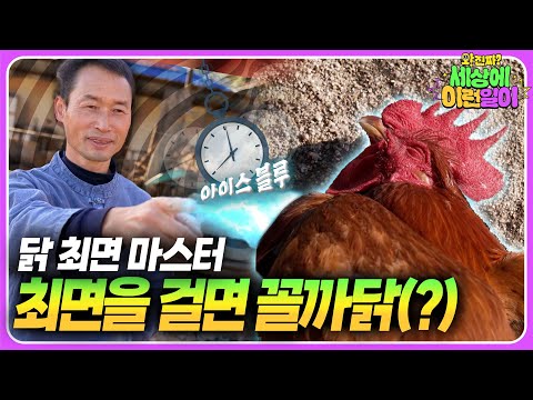 Видео: Человек, который усыпляет кур