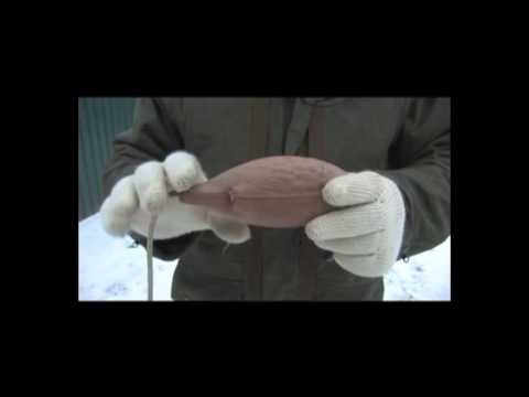 Видео: Тренировка подачи. Е. Лысенко