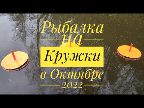 Видео: СТОЛЬКО ПОКЛЁВОК Я ЕЩЁ НЕ ВИДЕЛ! ЛОВЛЯ ЩУКИ И СУДАКА НА КРУЖКИ!