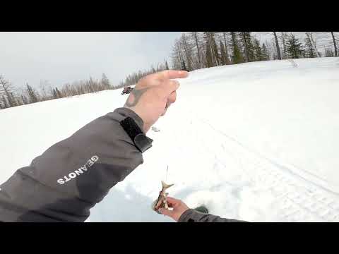 Видео: Рыбалка на хариуса,нервная рыбалка😅 день первый.