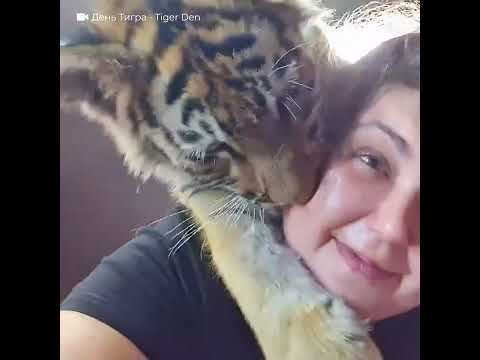 Видео: Про Хоспис Дом тигра