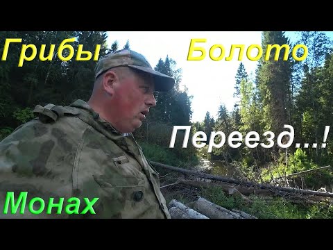 Видео: Прогулка по новым местам/Сбор грибов/Болото с клюквой