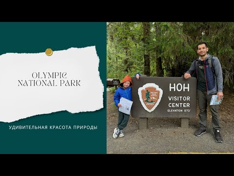 Видео: Olympic National Park: туманные горы, океан и город из Сумерек