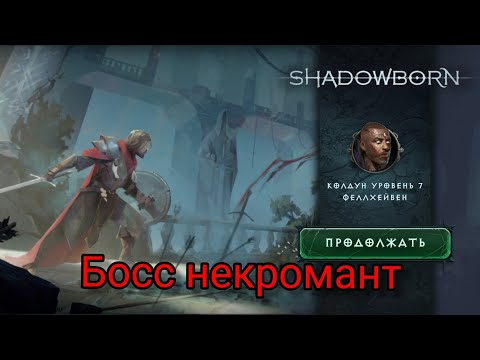 Видео: ShadowBorn. Успокоил некроманта. 