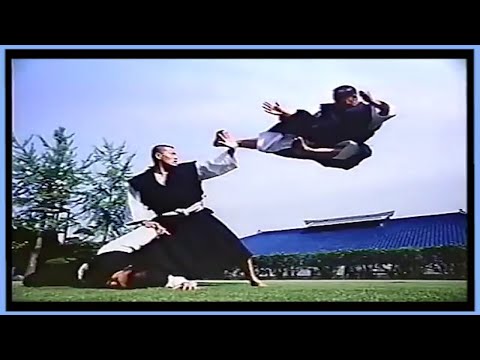 Видео: Техника Shorinji Kempo GOHO JUHO.Давление болевых точек в боевых искусствах.Сэнсэй Арай. Инициатива.