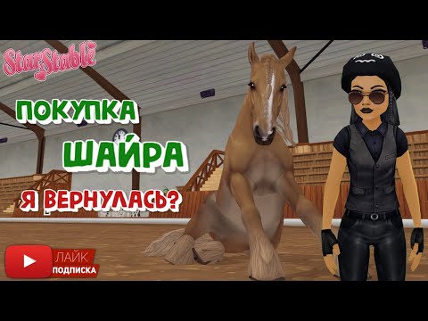 Видео: Покупка ШАЙРА в Star Stable | Игра про лошадей