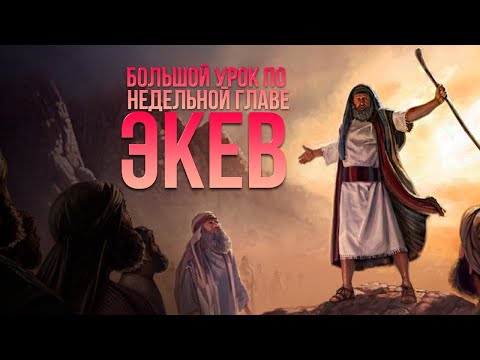 Видео: Большой урок по недельной главе  "Экев"