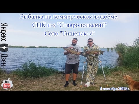 Видео: Рыбалка на коммерческом водоёме СПК п-з "Ставропольский" село "Тищенское" 5 сентября 2023г.
