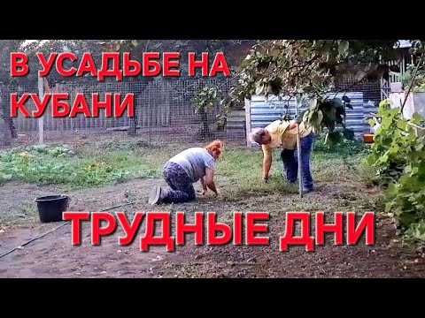 Видео: В УСАДЬБЕ на Кубани. Трудные дни.