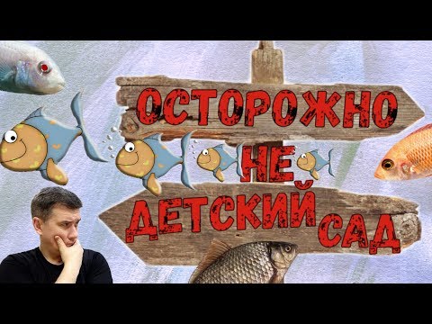 Видео: ОСТОРОЖНО .... НЕ детский сад. /Аулонокары / Лабидохромис Еллоу / Малек / Икра /