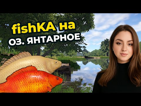 Видео: 🏆 ВЫСИЖИВАЕМ РЕДКИХ КАРПОВ на ЯНТАРНОМ ОЗЕРЕ┃Русская Рыбалка 4 (РР4)