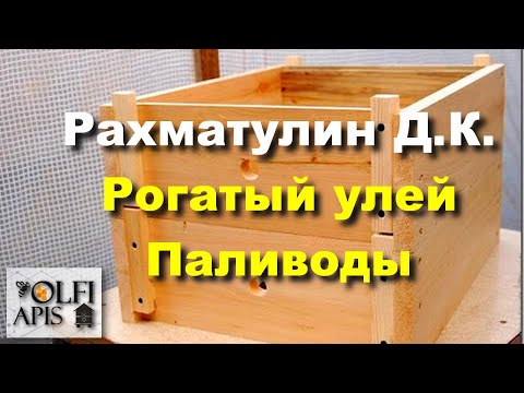 Видео: #Рахматулин Д.К. Рогатый улей Паливоды.