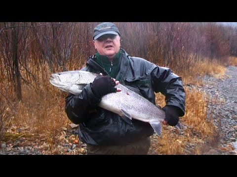 Видео: 1-Ловля сахалинского тайменя на реке Коппи с Сергеем Смольниковым. 1-часть(3)