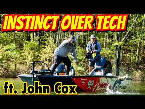 Видео: Что вижу я, чего не видит ваша электроника — Джон Кокс