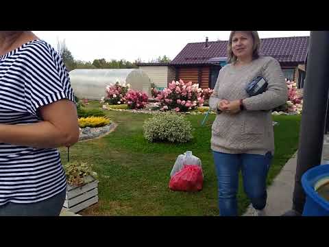 Видео: Аркуль, ИЗУМИТЕЛЬНЫЙ ПО КРАСОТЕ дизайн.