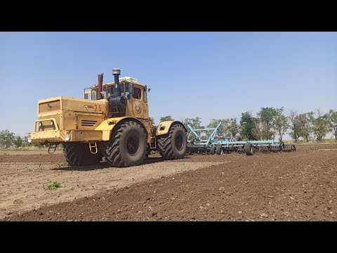 Видео: к-700А+КСО-10 Про культивацию!!!