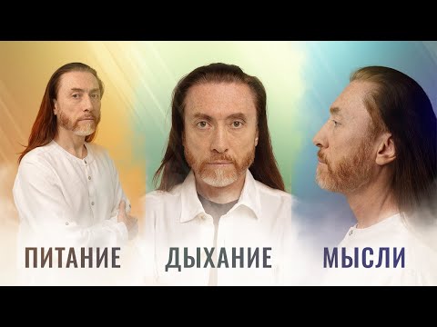 Видео: Питание. Дыхание. Мышление