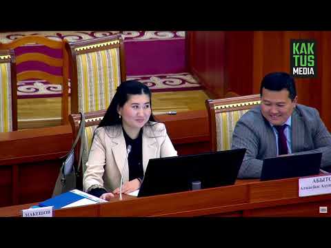 Видео: Ответ сотрудницы Минэкономики рассмешил депутатов