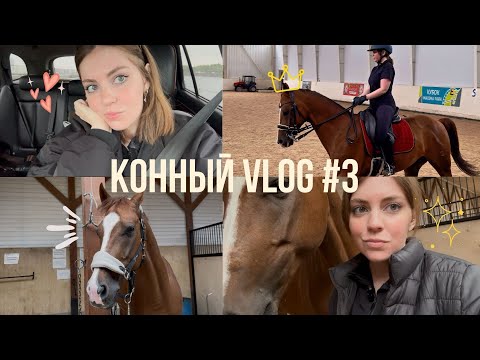 Видео: Возвращение на канал 😍 конная тренировка с рыжиком + немного мыслей 🫧
