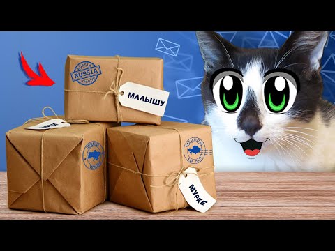 Видео: 100 ПОСЫЛОК от ПОДПИСЧИКОВ! БОЛЬШАЯ РАСПАКОВКА **РЕАКЦИЯ ЖИВОТНЫХ**