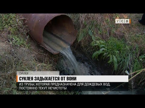 Видео: Суклея задыхается от вони