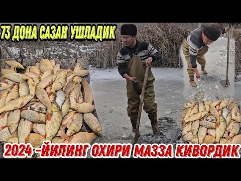 Видео: МУЗ ЁРИБ САЗАН ТЕРДИК КИЙ ЧУВ 29.12.2024