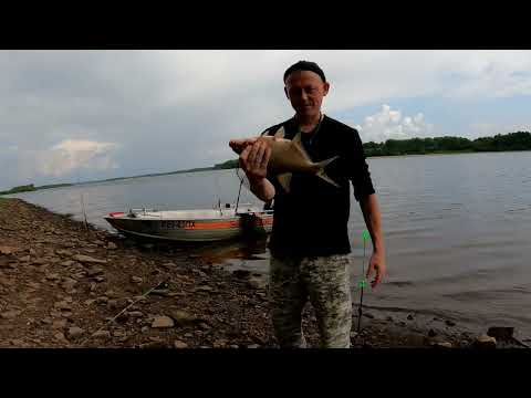 Видео: ТВЕРСКАЯ. ДОНКИ КРОКОДИЛ. АТАКА СУДАКА