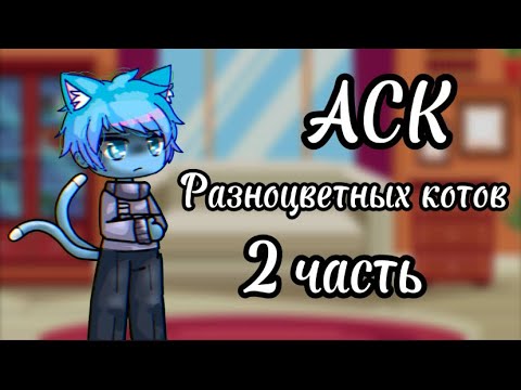 Видео: АСК Разноцветных котов 2 часть🔥 моя ау!!!!