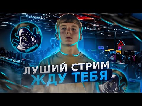 Видео: 🔴АПАЕМ РЕЙТИНГ ФРИ ФАЕР/ СМОГУ ЛИ ТОП-1 ? #shorts