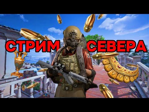 Видео: Играем, ищем краснухи, файтимся  Стрим по Arena Breakout