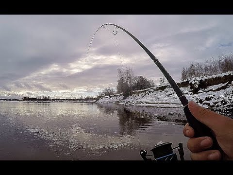 Видео: Я ДУМАЛ ЭТО КОРЯГА.....А ЭТО РЫБА!!! Рыбалка на реке Кеть!