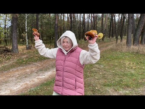 Видео: Глаза боятся а руки делают,главное выехать! Ездили по 500 км,а теперь грибы🍄‍🟫нам дорогу перебегают!