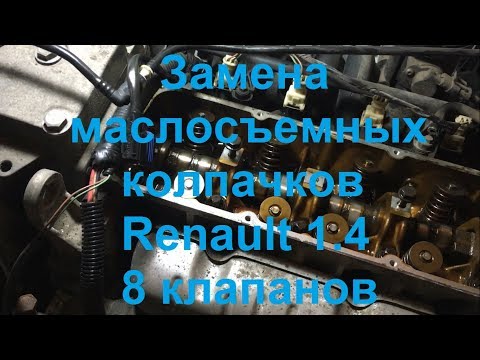 Видео: Замена маслосъемных колпачков Renault Kangoo 1.4 (он же двигатель Logan 8 кл)