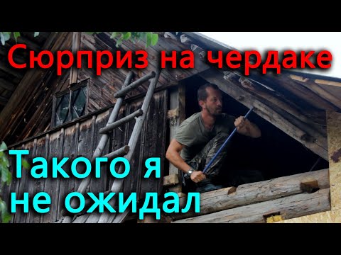 Видео: Что скрывал чердак старого деревенского дома. Утепляю прихожую.