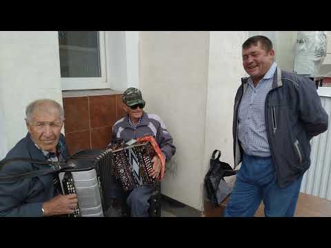 Видео: "Реденькая Матаня". Демехов В.Н., Федоров Н.И..