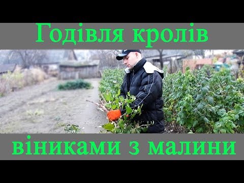 Видео: Віники з малини для кролів