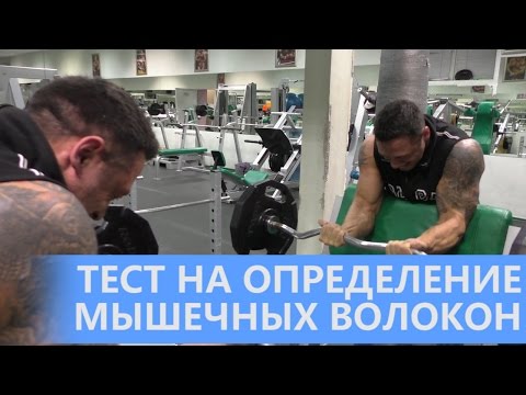 Видео: Тест на определение типа мышечных волокон
