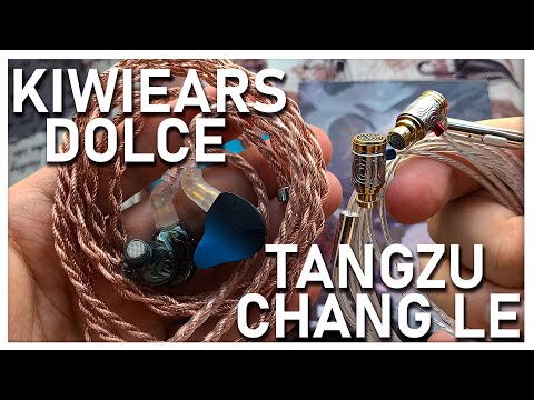 Видео: Обзор KiwiEars Dolce и Tangzu Chang Le - Две очень приятных бюджетных новинки!