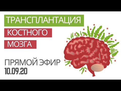 Видео: Трансплантация костного мозга. Мифы и правда.